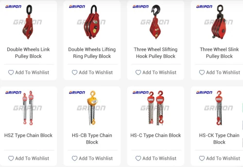 Hoists & Lifts
