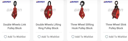 Hoists & Lifts